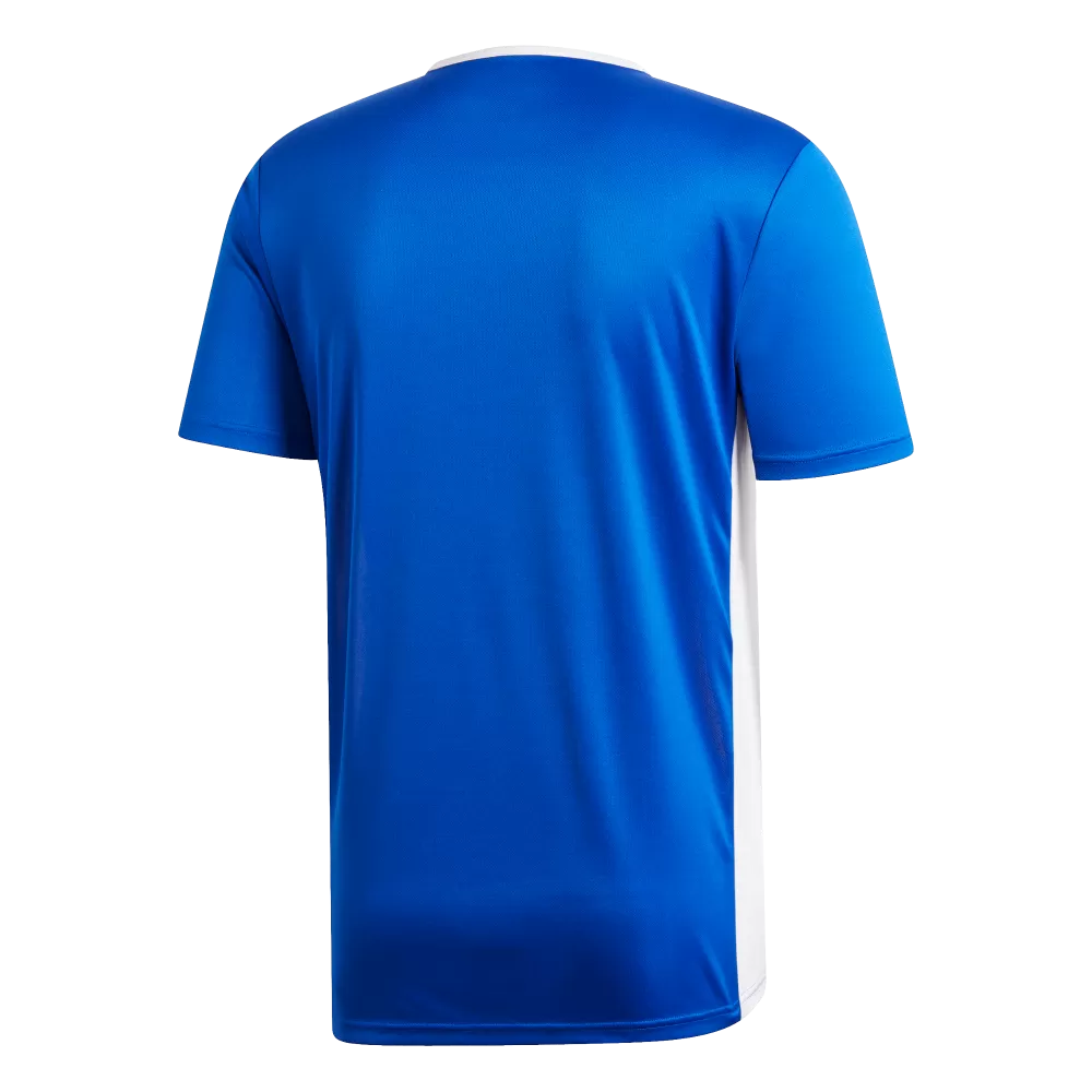 Adidas Youth Entrada 19 Jersey (Blue/White)