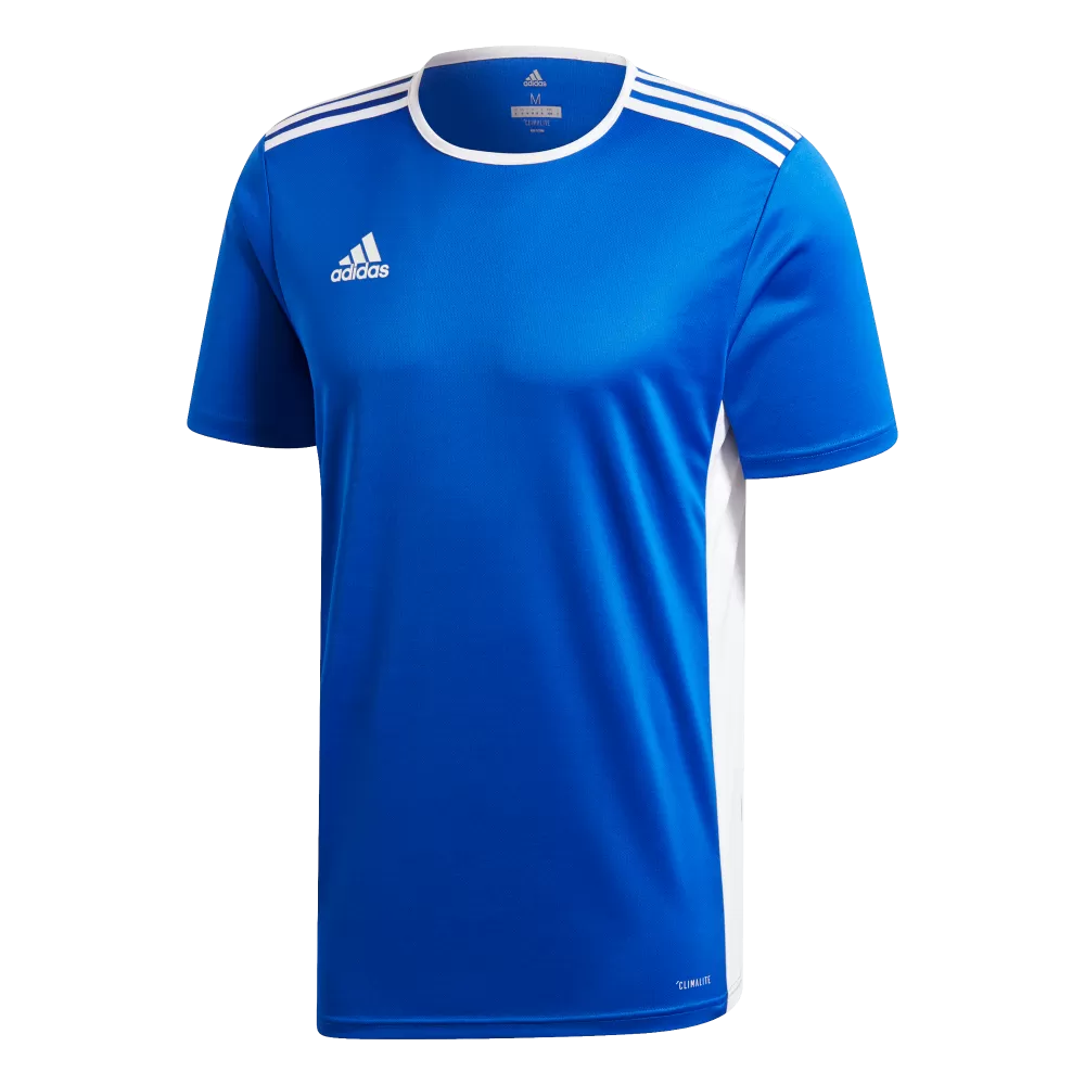 Adidas Youth Entrada 19 Jersey (Blue/White)