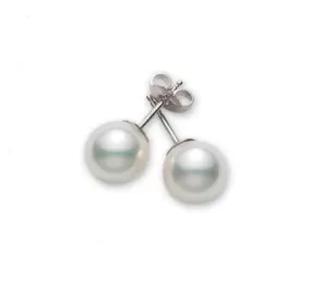 Akoya Pearl Stud Earrings AA 7.5x8mm