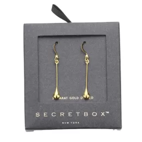 Secret Box 14K Gold Dipped Metal Teardrop Dangle Earrings